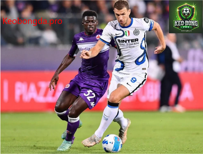 Soi kèo bóng đá Nottingham vs Brighton, 19h30 ngày 1/2: Cơ Hội Nào cho Mòng Biển