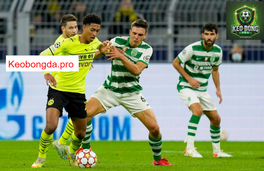 Nhận định soi kèo Borussia Dortmund vs Sporting CP, 00h45 ngày 20/2: Khát Vọng Chiến Thắng