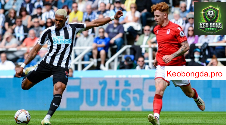 Soi kèo nhà cái Newcastle vs Nottingham, 21h00 ngày 23/2: Quá Khứ Huy Hoàng