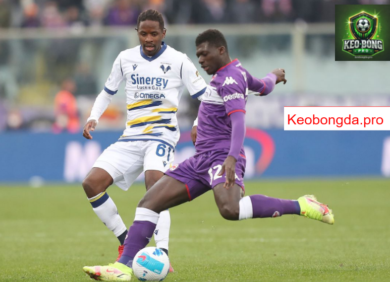 Dự đoán bóng đá Hellas Verona vs Fiorentina, 21h00 ngày 23/2: Vượt Mọi Thử Thách