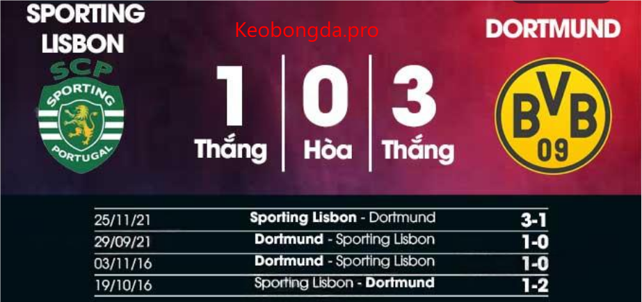 Nhận định soi kèo Sporting Lisbon vs Dortmund, 03h00 ngày 12/2: Trận Chiến Bùng Nổ