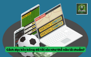 Cách đọc kèo bóng đá tài xỉu như thế nào là chuẩn?